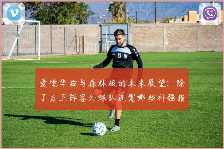 爱德华兹与森林狼的未来展望：除了后卫阵容外球队还需哪些补强措施